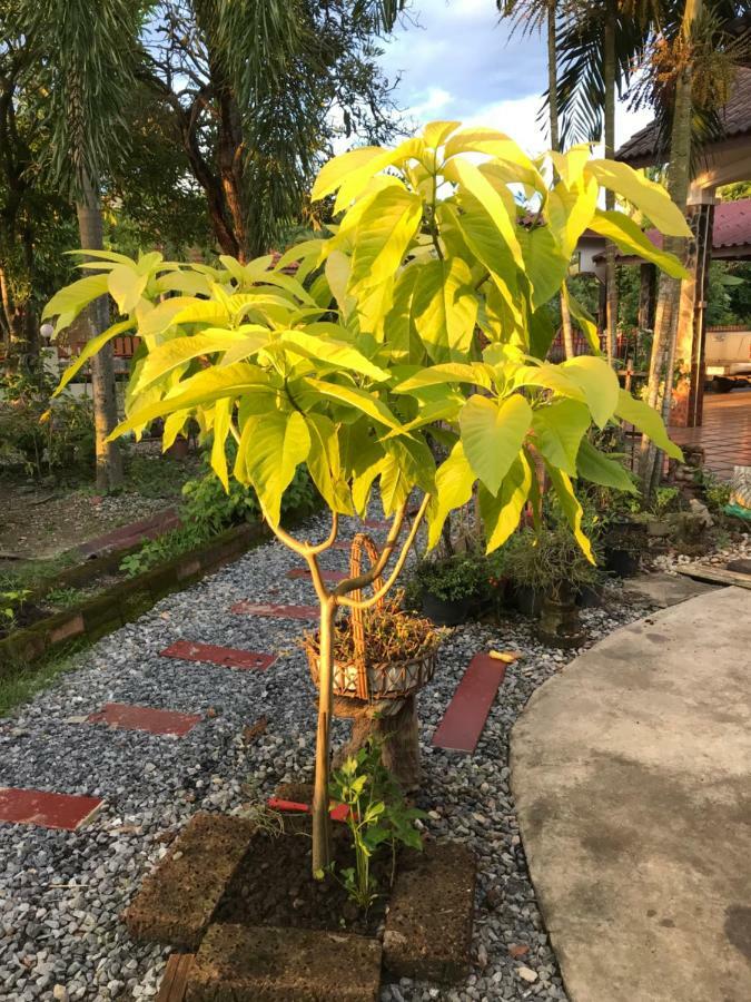 Grandma'S House Apartment Nakhon Nayok Luaran gambar